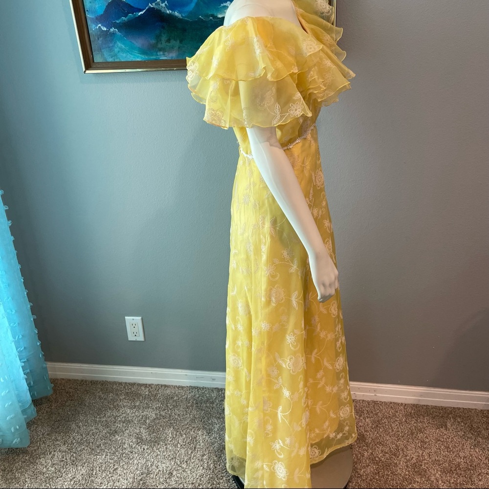 Vintage Sylvia Ann Flocked Daisy Flower Dress Ruffle Maxi 70s Flower Child - Picture 4 of 14